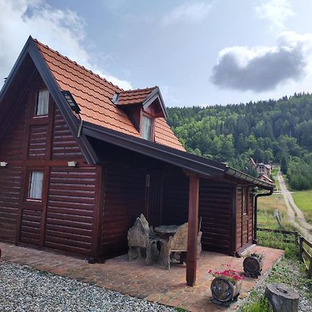 Vila Carobna Suma Tara Bajina Basta Buitenkant foto