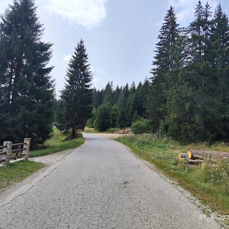 Vila Carobna Suma Tara Bajina Basta Buitenkant foto