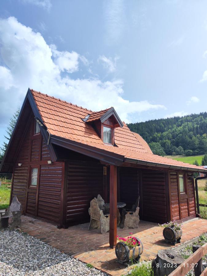 Vila Carobna Suma Tara Bajina Basta Buitenkant foto