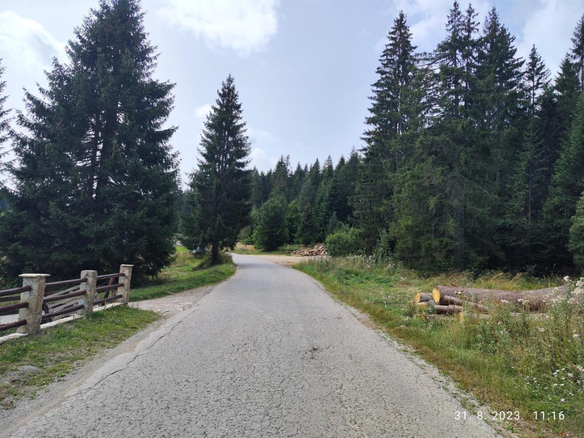 Vila Carobna Suma Tara Bajina Basta Buitenkant foto